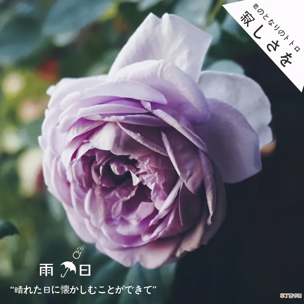 显示时间地点水印相机推荐 带时间地点的水印相机