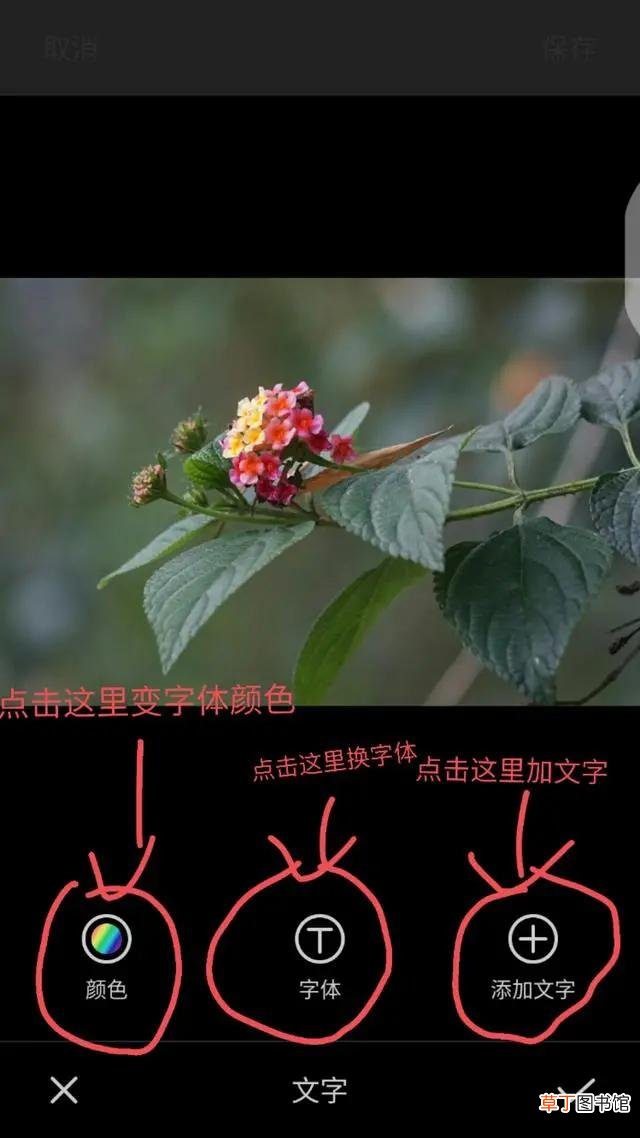 显示时间地点水印相机推荐 带时间地点的水印相机
