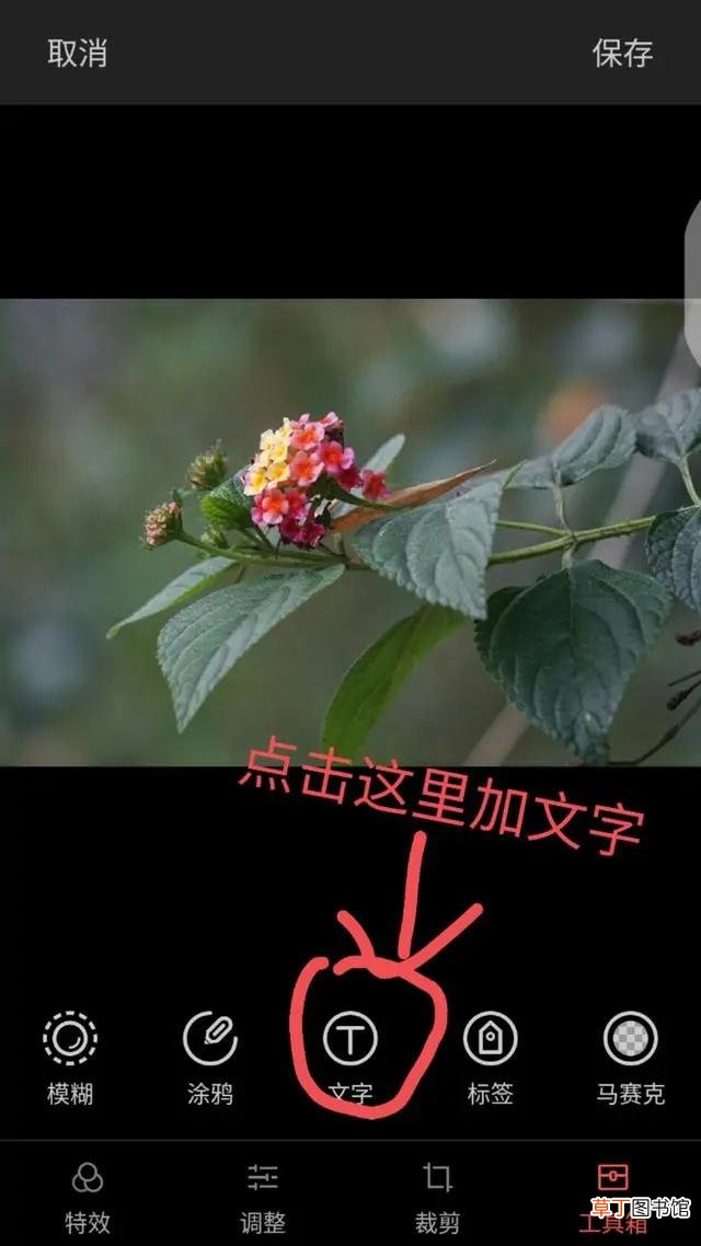 显示时间地点水印相机推荐 带时间地点的水印相机