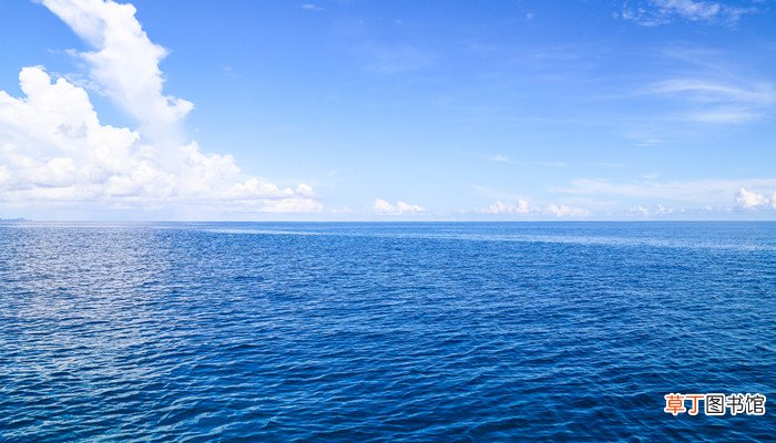 梦见自己在大海里游泳很轻松