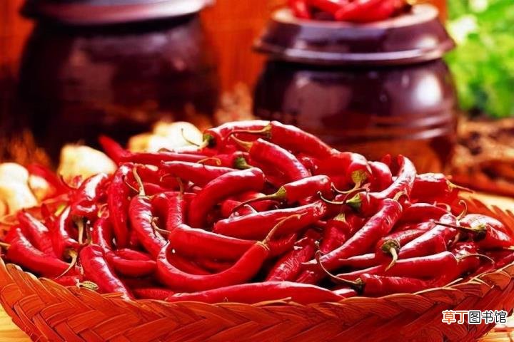 中国吃辣排名 四川为什么吃辣