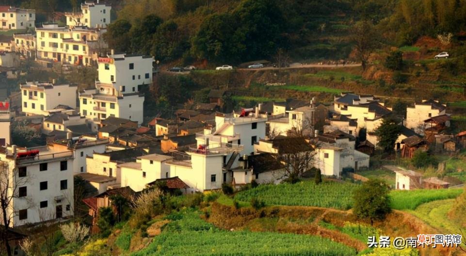 不住农村 为什么农村好