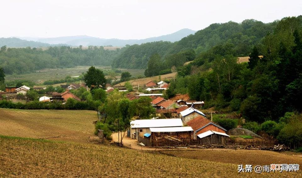 不住农村 为什么农村好