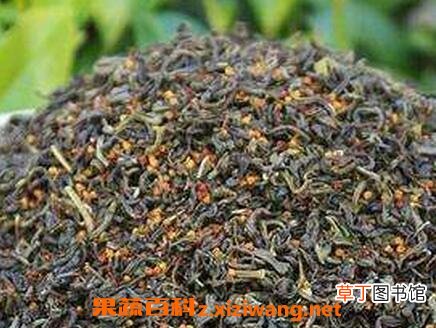 珠兰花茶的冲泡技巧 珠兰花茶的保存方法