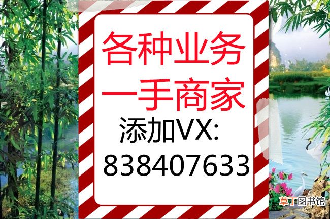 羊小咩享花卡怎么提现？可以分期还款吗