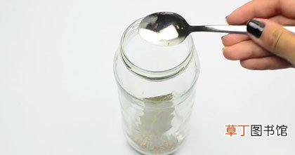 三种方法家庭须知 新鲜蘑菇怎么长期保存