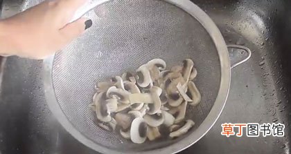 三种方法家庭须知 新鲜蘑菇怎么长期保存