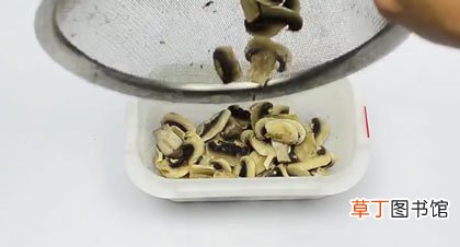 三种方法家庭须知 新鲜蘑菇怎么长期保存