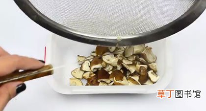 2种实用办法步骤详解 如何保存新鲜的蘑菇