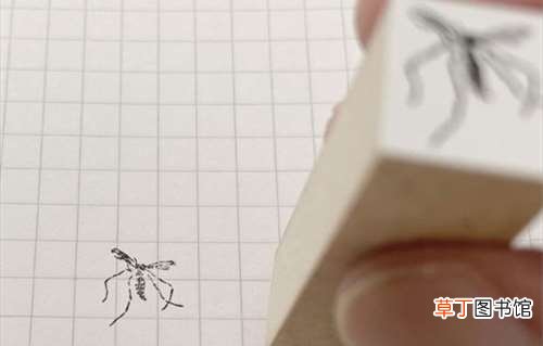 这些东西真有人买? 日本死蚊子印章、粪便交换日记