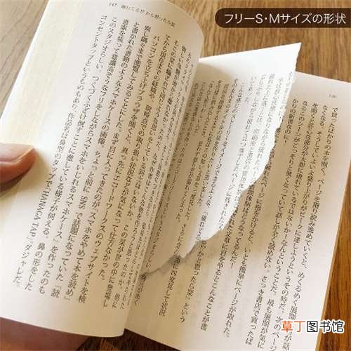 这些东西真有人买? 日本死蚊子印章、粪便交换日记
