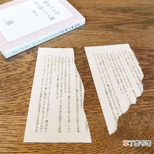 这些东西真有人买? 日本死蚊子印章、粪便交换日记