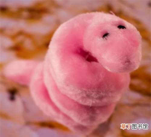 这些东西真有人买? 日本死蚊子印章、粪便交换日记