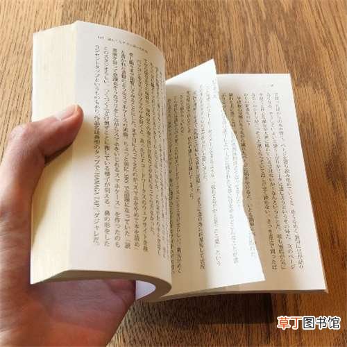 这些东西真有人买? 日本死蚊子印章、粪便交换日记