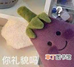 这些东西真有人买? 日本死蚊子印章、粪便交换日记