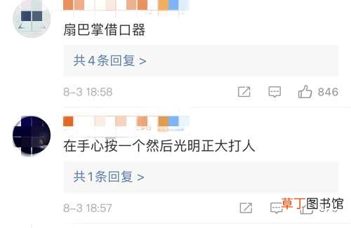 这些东西真有人买? 日本死蚊子印章、粪便交换日记