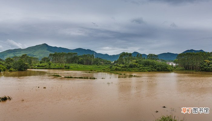 梦见发水淹没道路