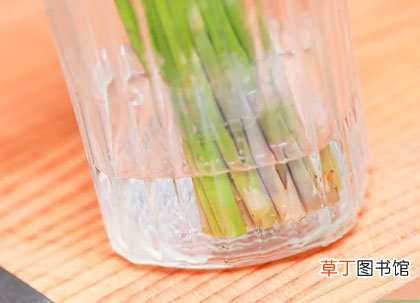 3种存储办法须知 长期保存芦笋的方法