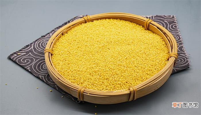 梦见小米是什么意思啊