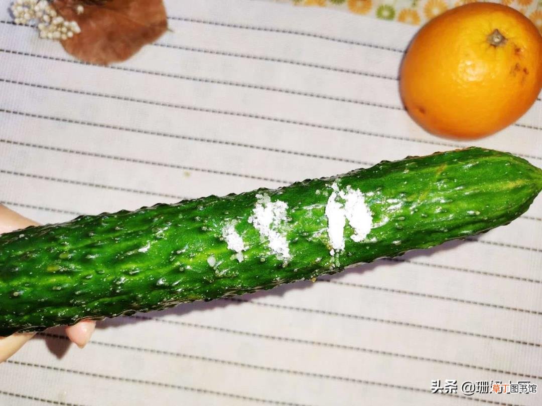 广东黄瓜和青瓜的区别 为什么黄瓜叫黄瓜