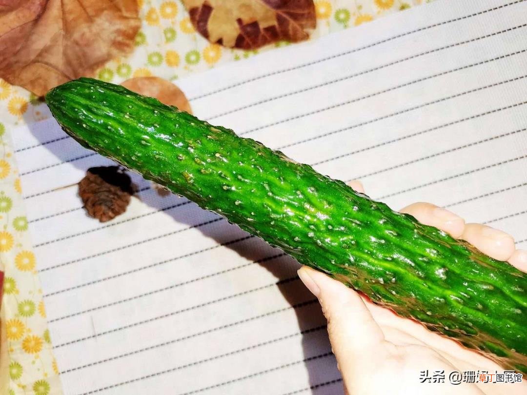 广东黄瓜和青瓜的区别 为什么黄瓜叫黄瓜