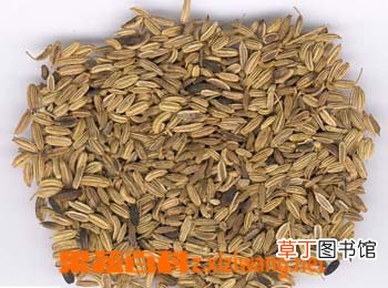 小茴香的功效与作用