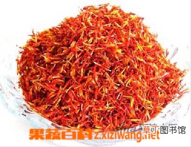 红花的功效与作用