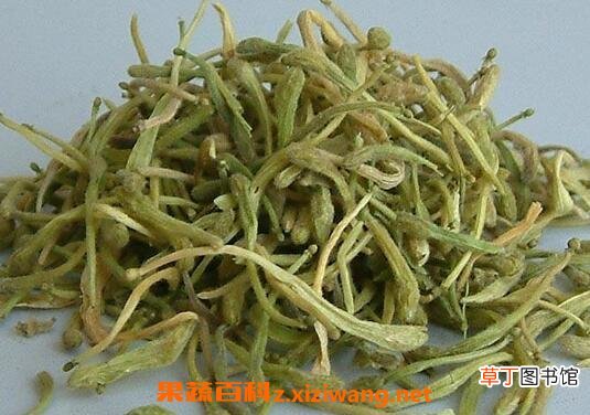 金跟花的功效与作用 金跟花的药用价值