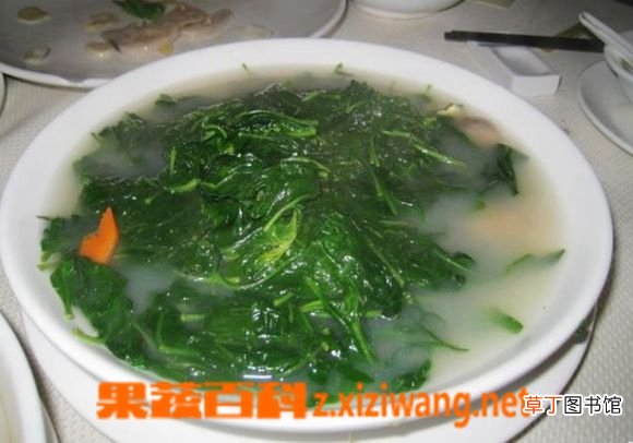 枸杞叶的功效