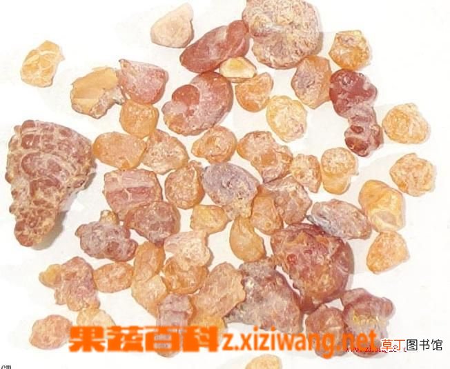 乳香的功效与作用