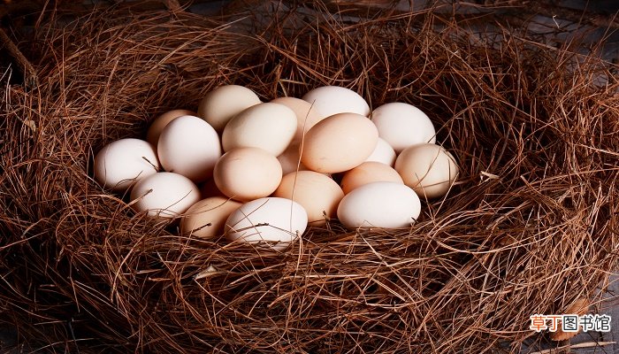 梦见在地里捡鸡蛋是什么预兆