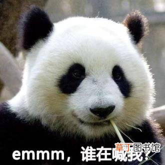 大熊猫为什么是哺乳动物 熊猫为什么只有中国有