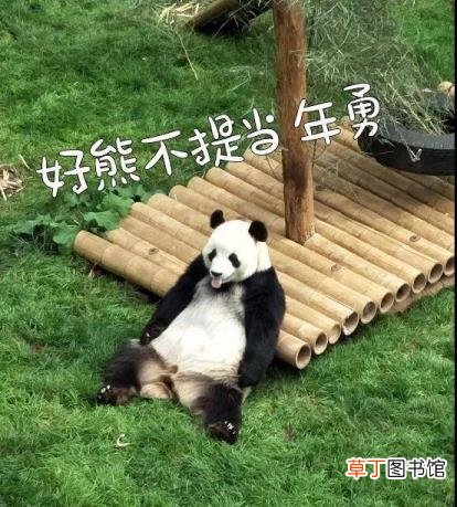 大熊猫为什么是哺乳动物 熊猫为什么只有中国有