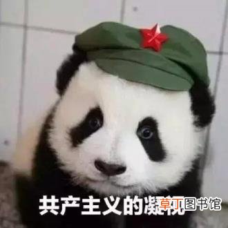 大熊猫为什么是哺乳动物 熊猫为什么只有中国有