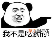 大熊猫为什么是哺乳动物 熊猫为什么只有中国有