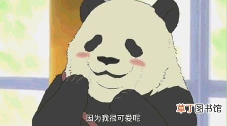 大熊猫为什么是哺乳动物 熊猫为什么只有中国有