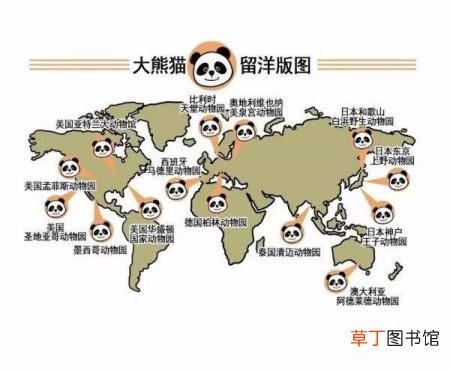 大熊猫为什么是哺乳动物 熊猫为什么只有中国有
