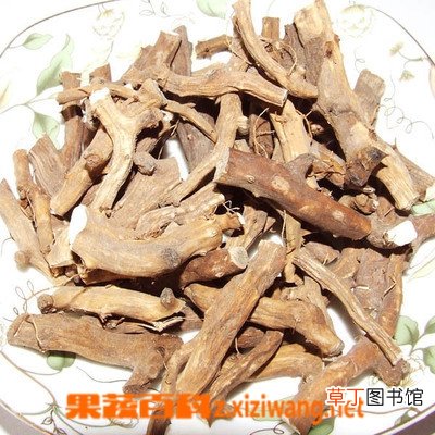 煅龙骨的功效与作用