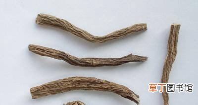 杜仲和什么搭配最补肾？