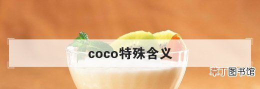 coco特殊含义
