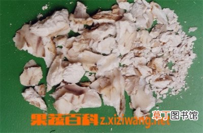 煅牡蛎的功效与作用