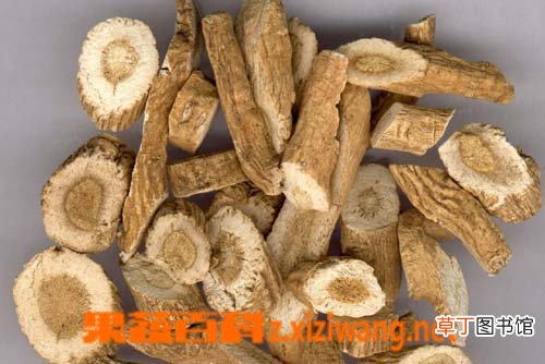 板蓝根的副作用
