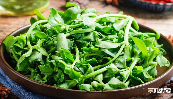 梦见和别人一起挖野菜