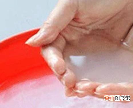 养花的知识和技巧