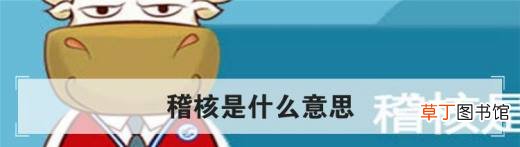 稽核是什么意思？