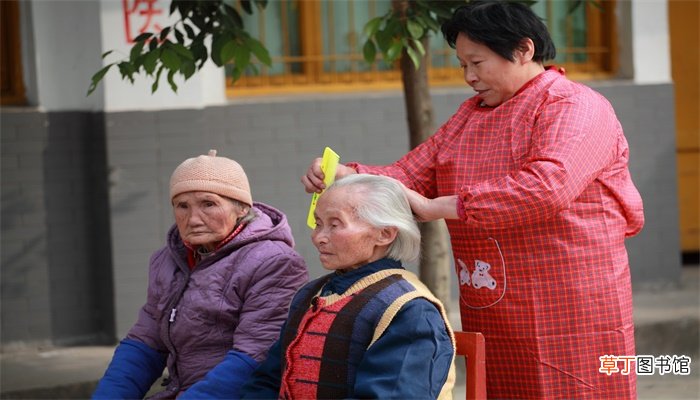 梦见拔白头发是什么意思
