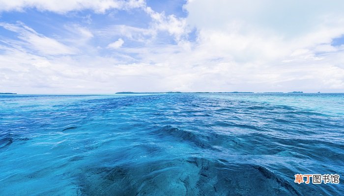 梦见大海水很清澈