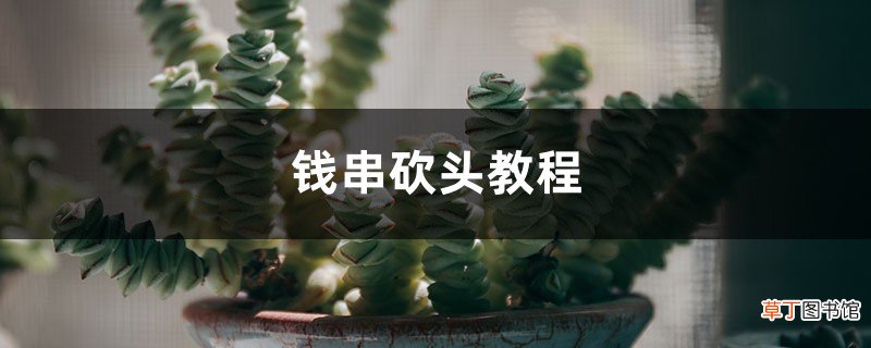 钱串砍头教程
