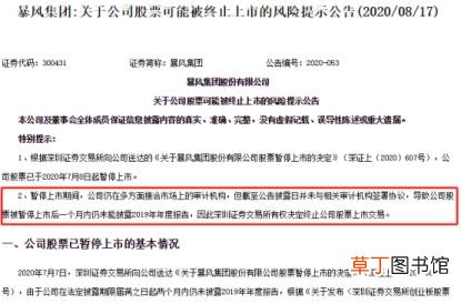 暴风子 暴风集团为什么