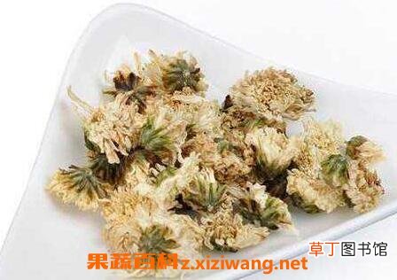 金银花和白菊花的功效与作用及禁忌